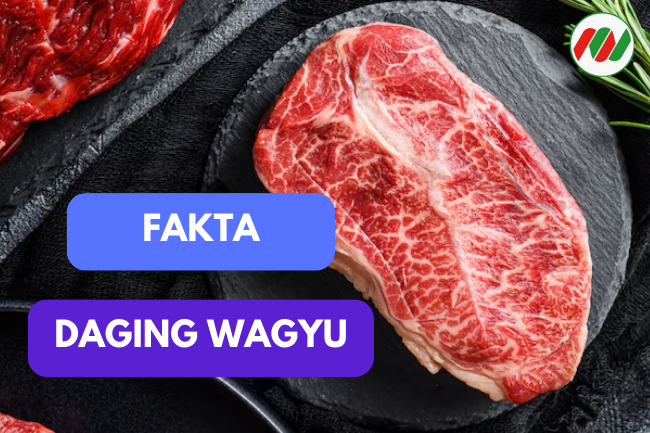 Daging Wagyu: Mengungkap Fakta yang Perlu Diketahui